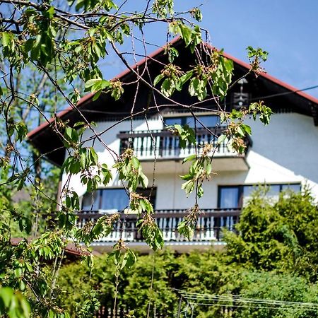 Poziomkowa 5 Villa Szczyrk Exteriör bild