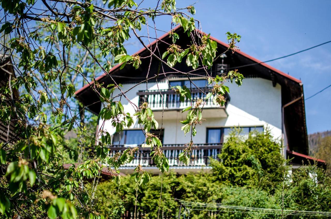 Poziomkowa 5 Villa Szczyrk Exteriör bild